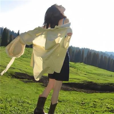 仙履奇缘2：美梦成真封面