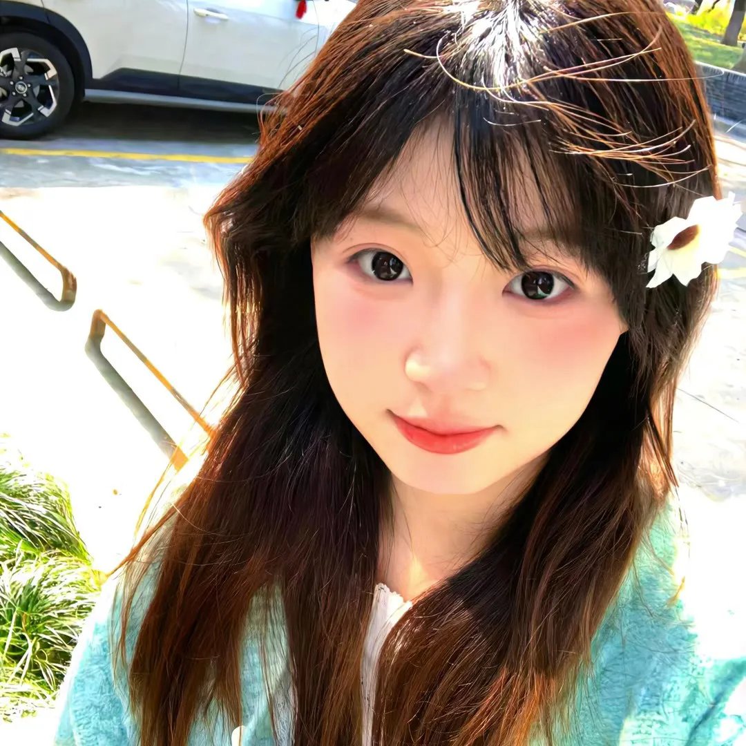 左轮百合封面