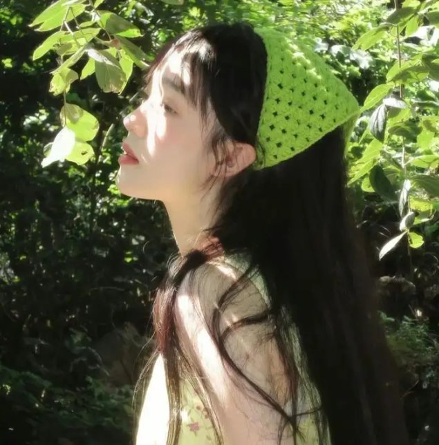堕落花封面